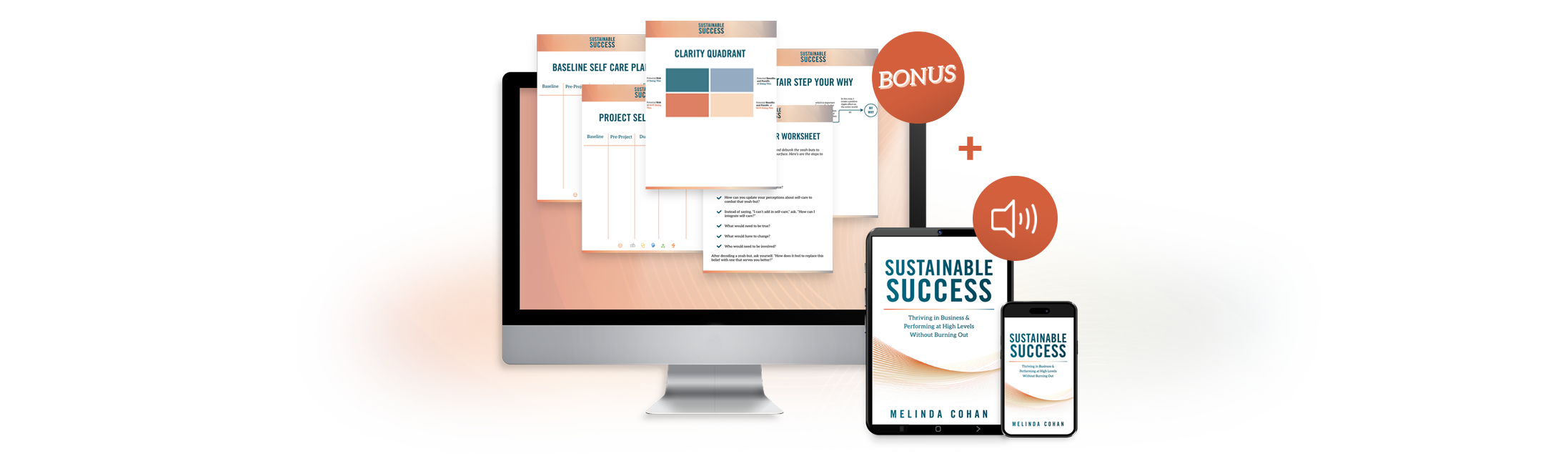 Sustainable Success