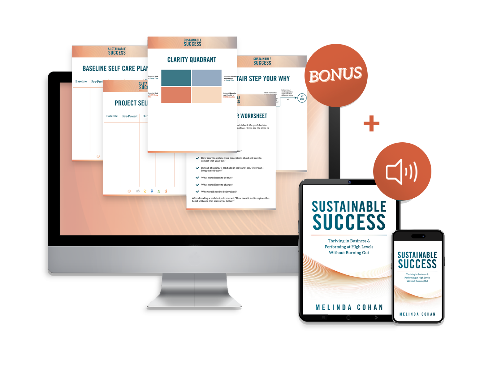 Sustainable Success