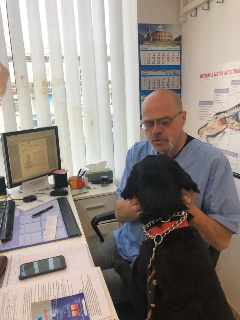 Dr. Mihai Andrei mangaie un catel la VetCenter Otopeni