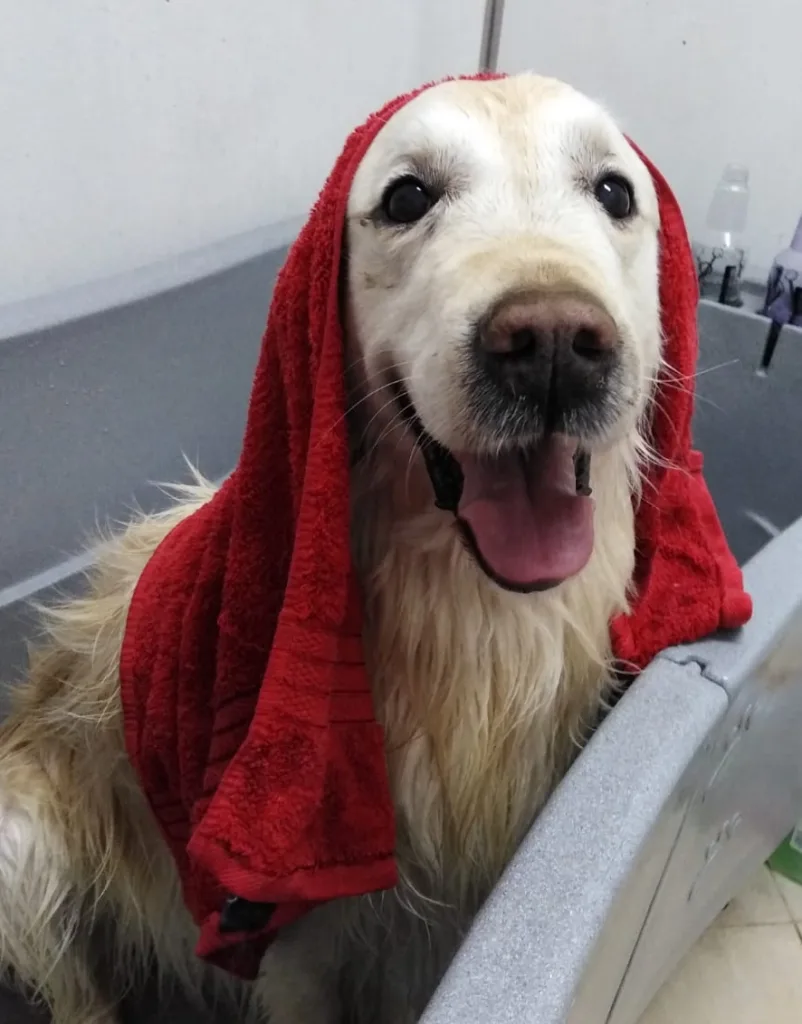 Cosmetica veterinara VetCenter Otopeni